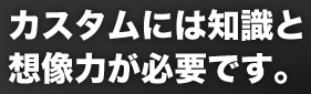 カスタムには知識と想像力が必要です。