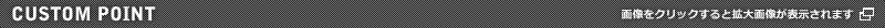 CUSTOM POINT 画像をクリックすると拡大画像が表示されます
